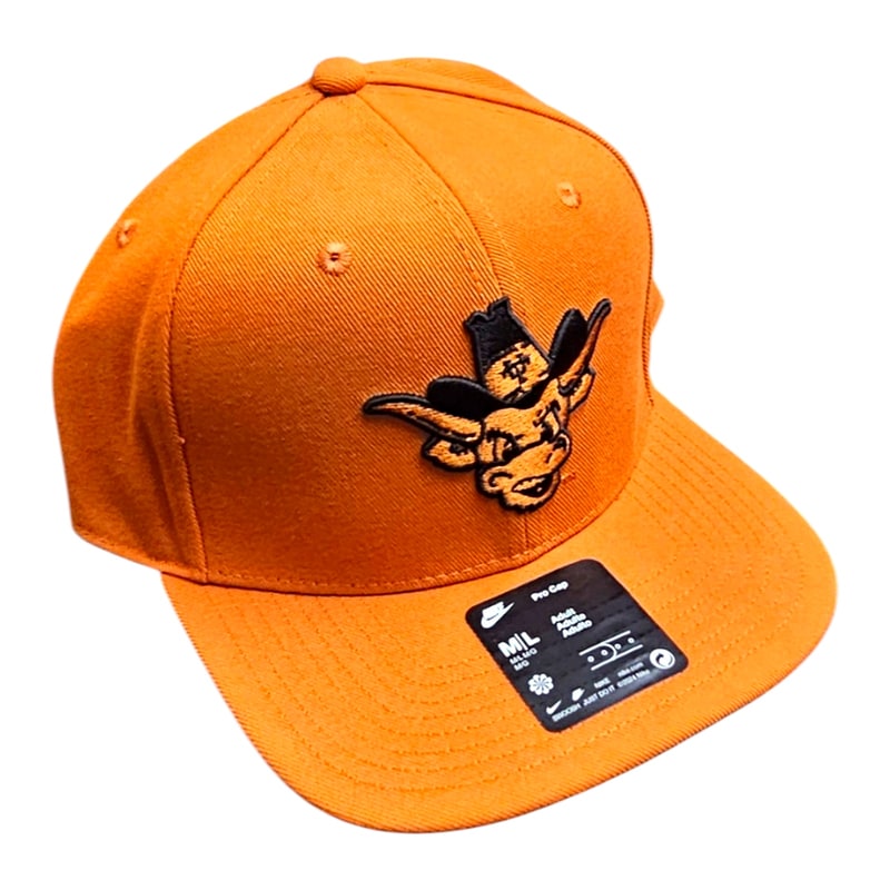 Texas Longhorns Licensed Texas
