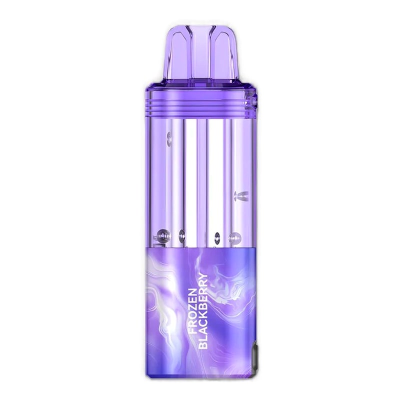 Foger Switch Pro POD 30K 5ct Box - Frozen Blackberry