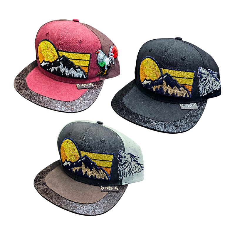 Hip-Hop Caps -Colorado Rocks