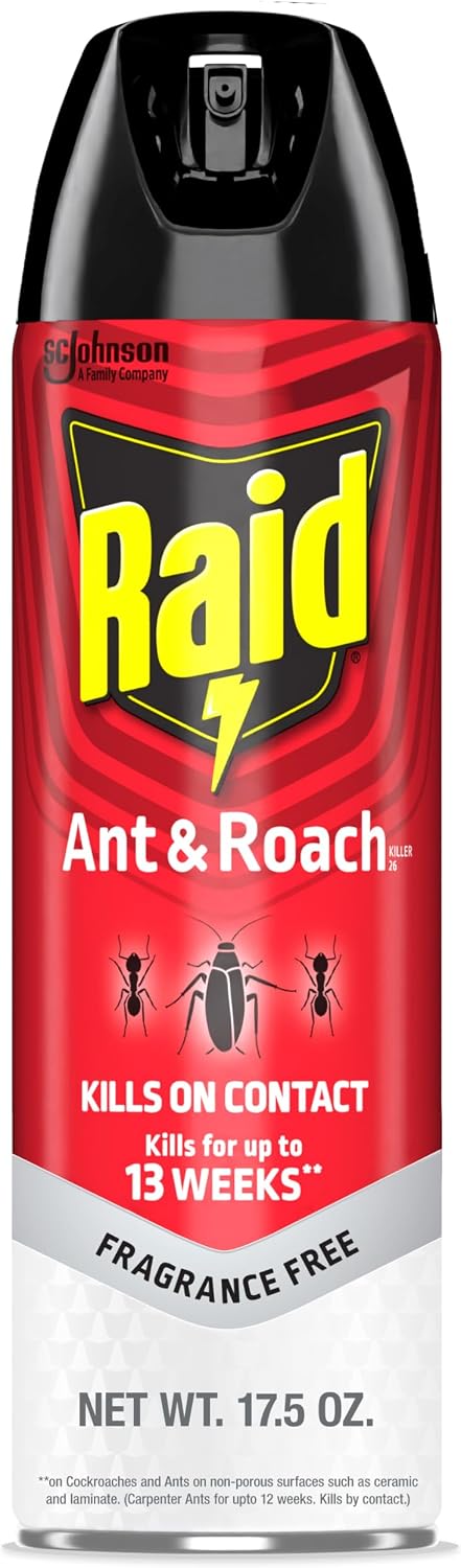 Raid Ant & Roach Killer Fragrance Free 17.5oz